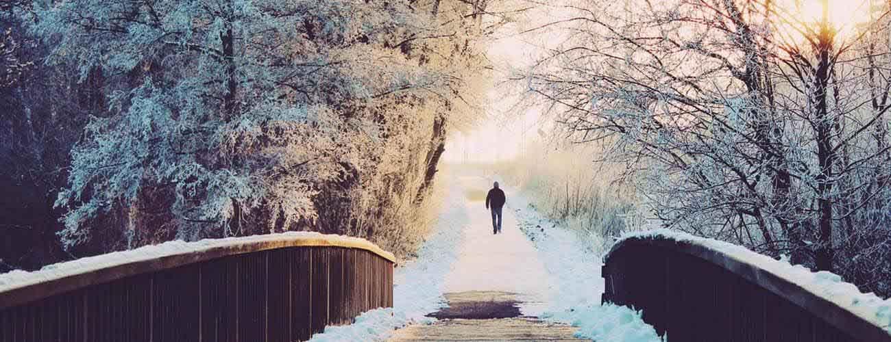 person taking a wintery walk